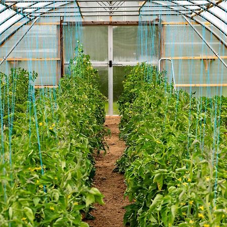 Mothir Joerth Organic Farm Guesthouse In Vallanes 외부 사진