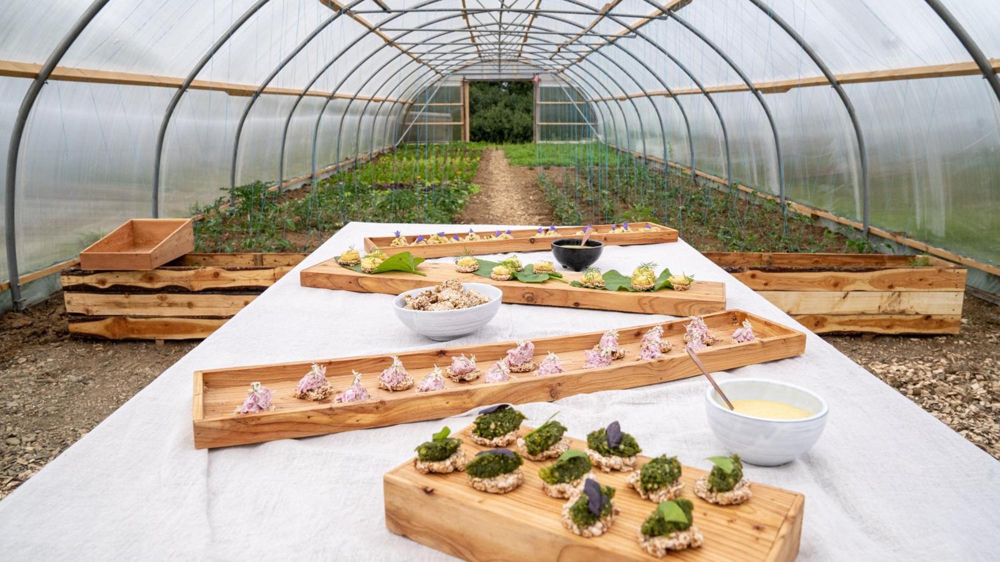 Mothir Joerth Organic Farm Guesthouse In Vallanes 외부 사진