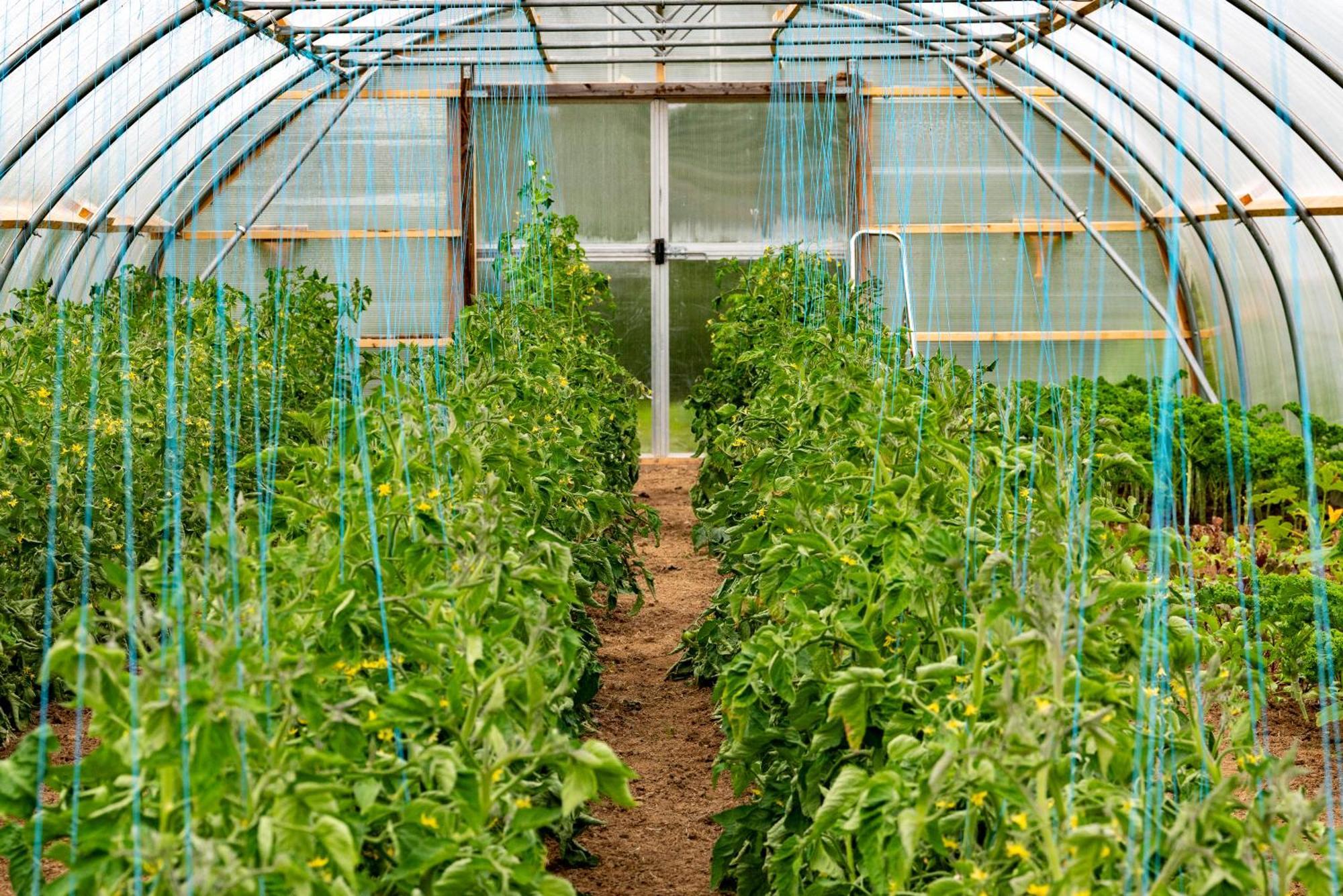 Mothir Joerth Organic Farm Guesthouse In Vallanes 외부 사진