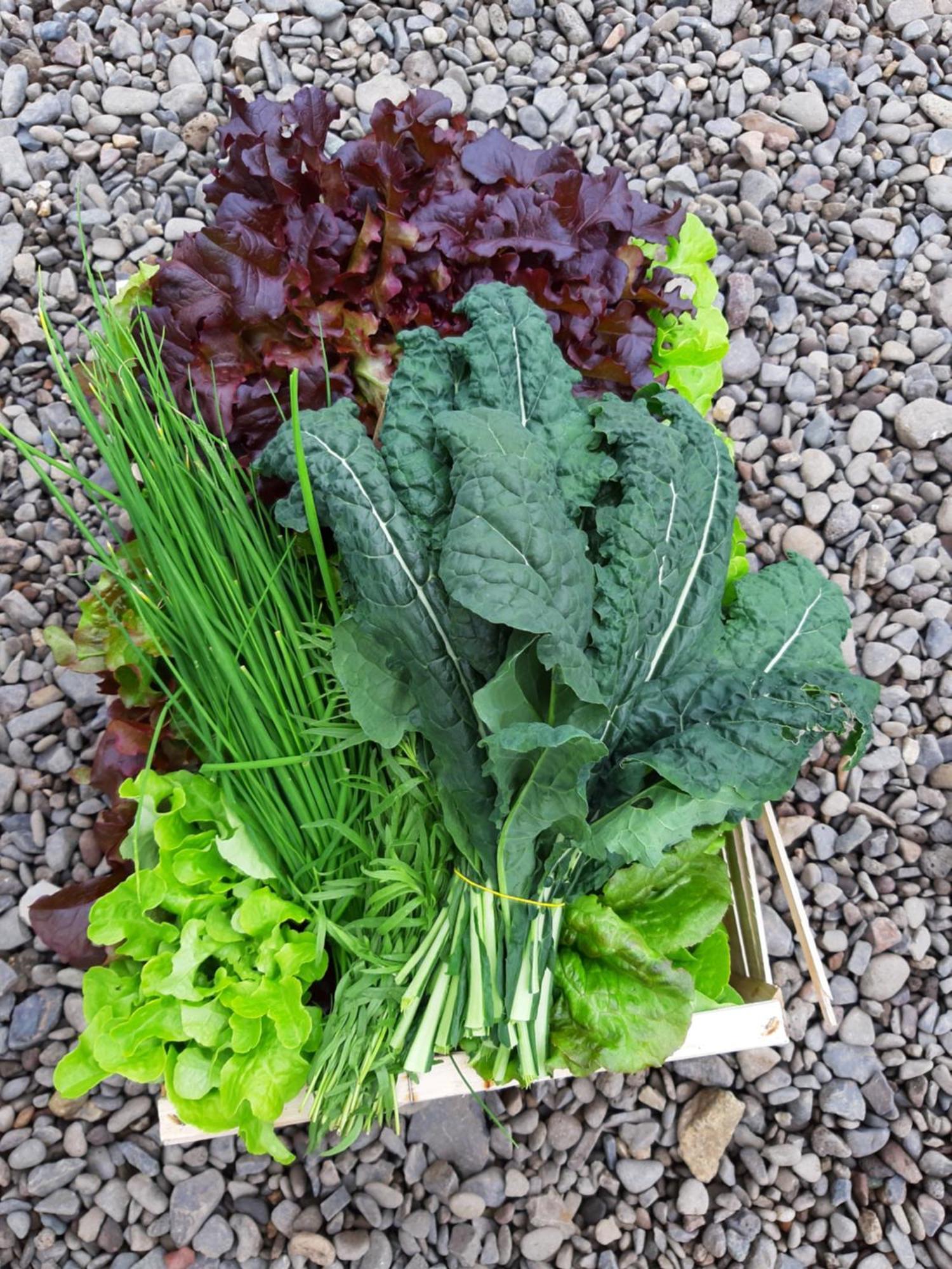 Mothir Joerth Organic Farm Guesthouse In Vallanes 외부 사진