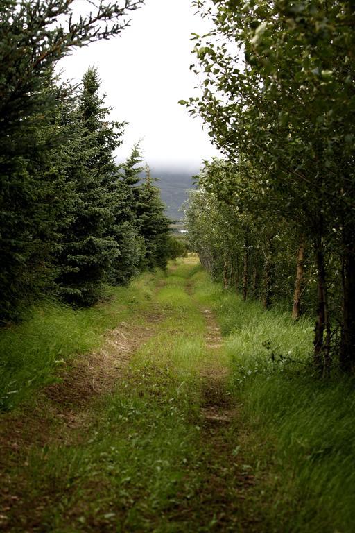 Mothir Joerth Organic Farm Guesthouse In Vallanes 외부 사진