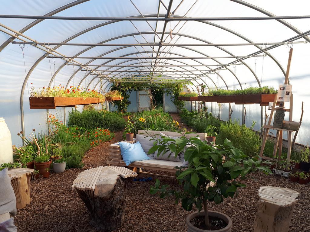 Mothir Joerth Organic Farm Guesthouse In Vallanes 외부 사진