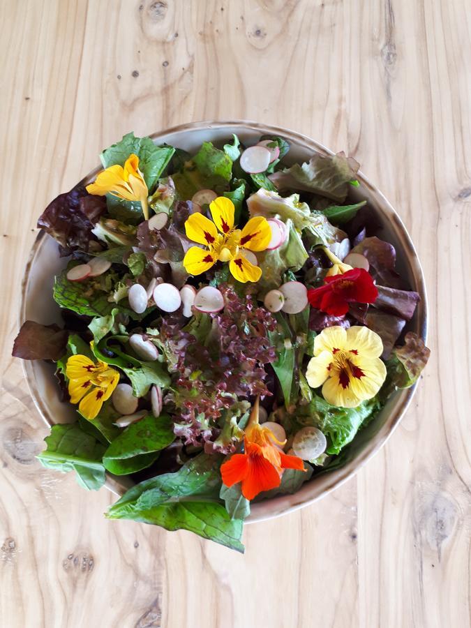 Mothir Joerth Organic Farm Guesthouse In Vallanes 외부 사진